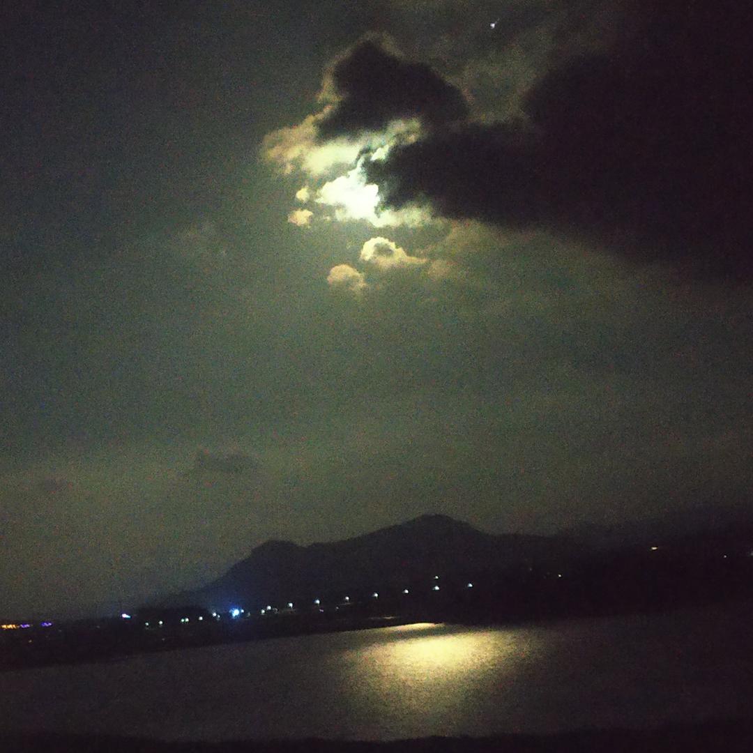 平原猛虎