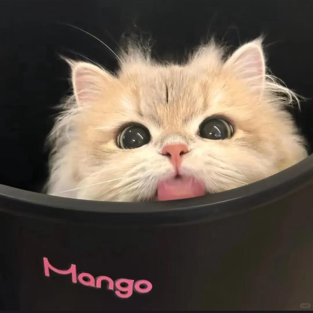 Cc_
