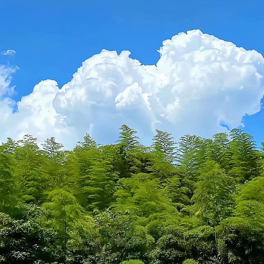 幸福、