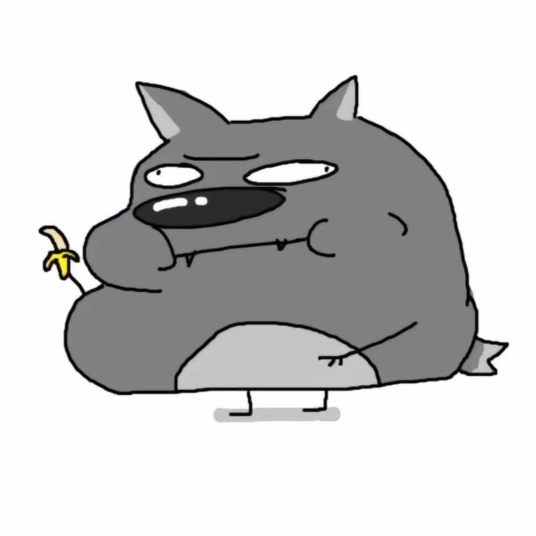 W41