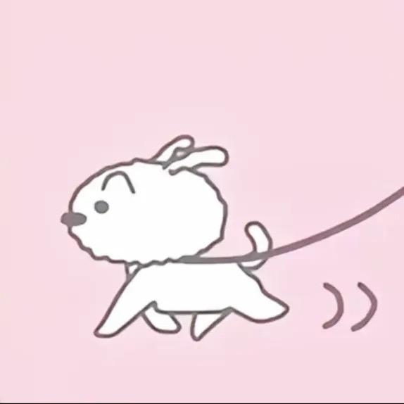 就睡啦🫧