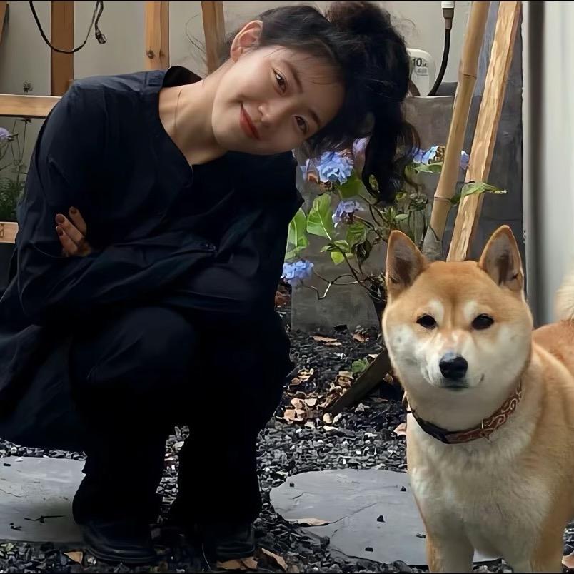 鱼摆摆