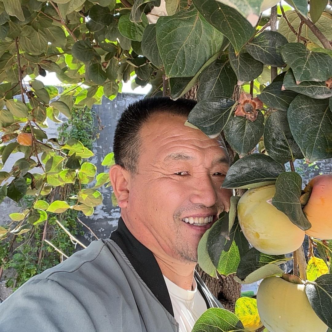 老张首播