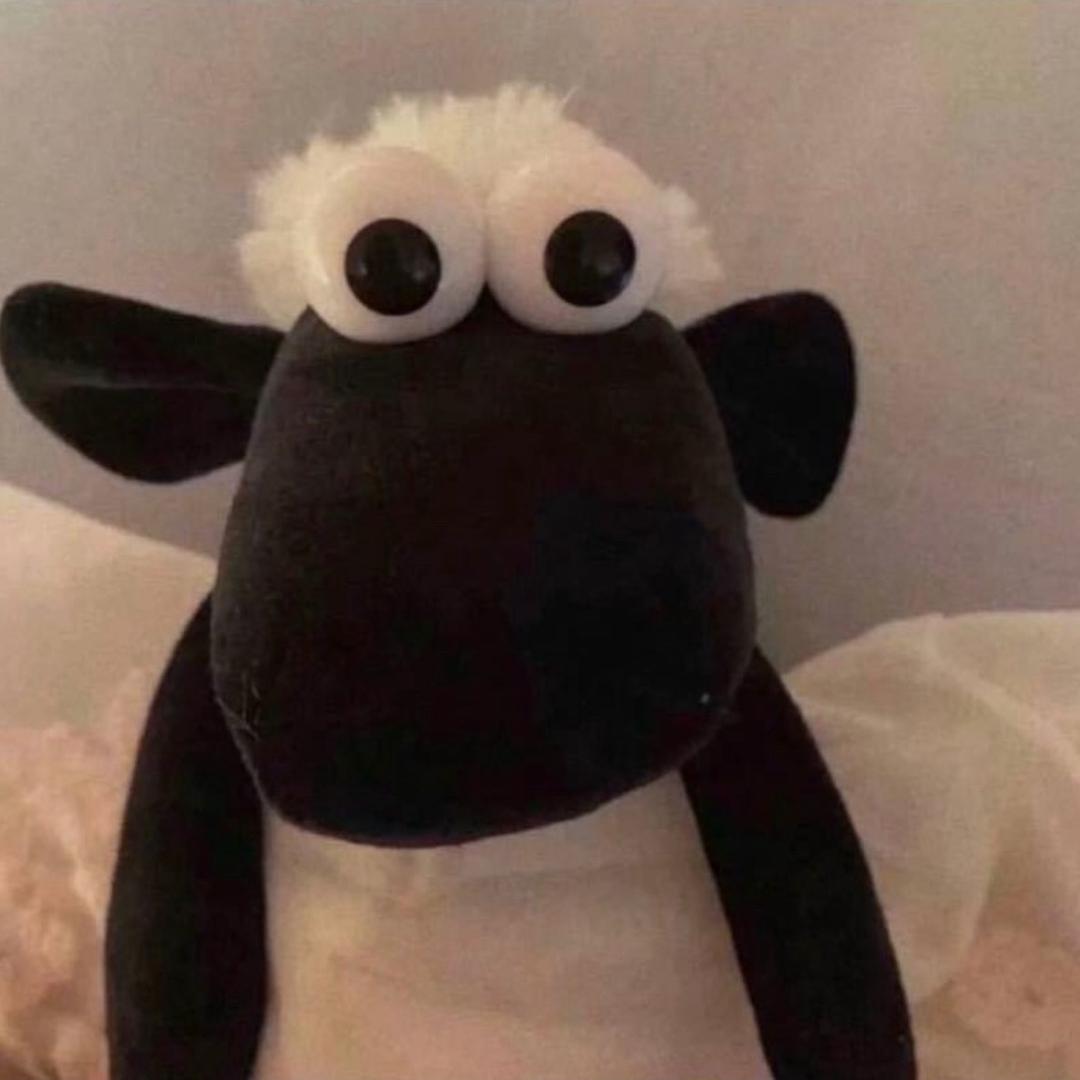 ～🧸🧸~