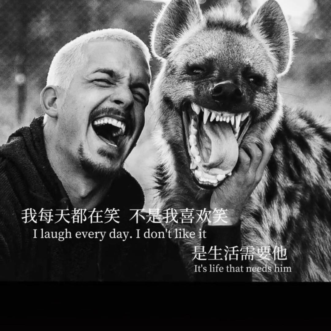 ┣勵志的胖子⌒