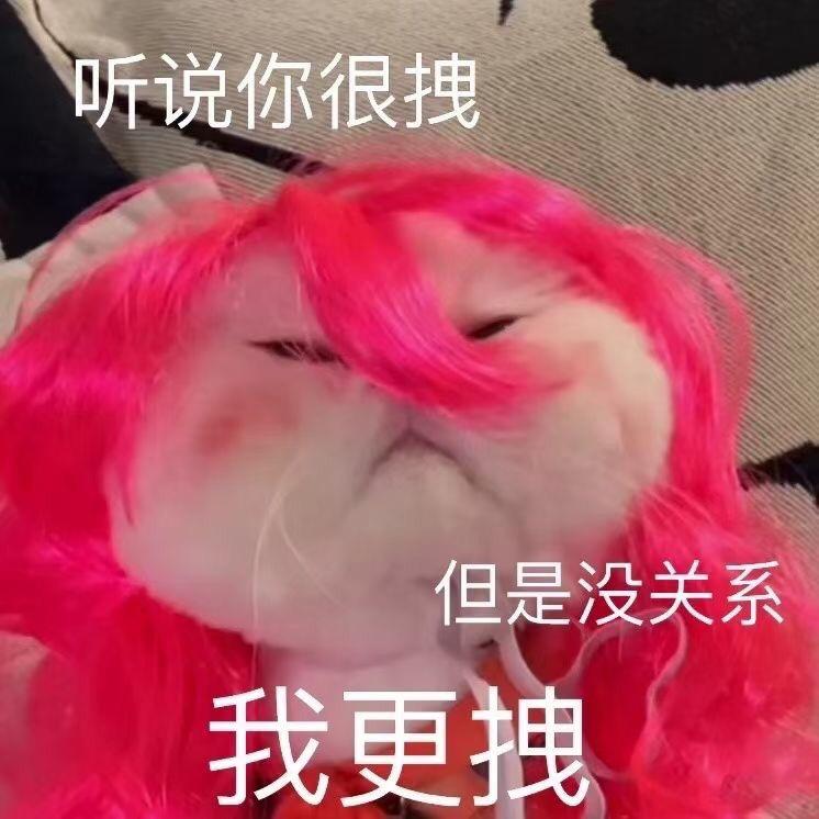 我特喵的