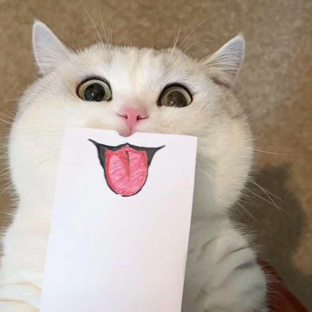 每天起床头件事