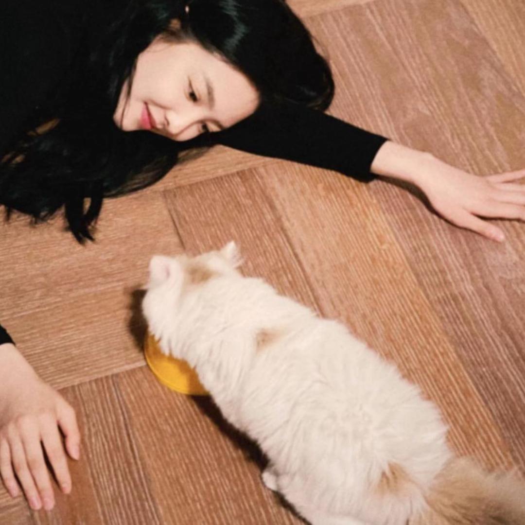 🐈‍⬛