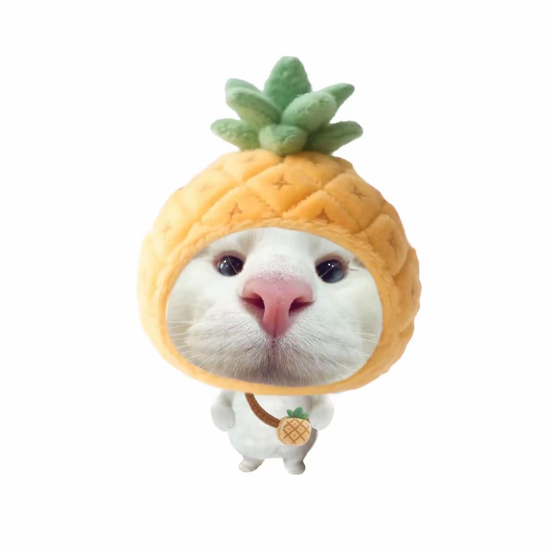 啵啵啵菠萝🍍💖💚