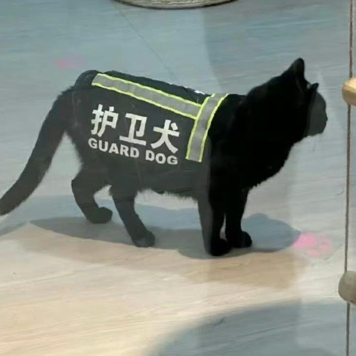 王一诺