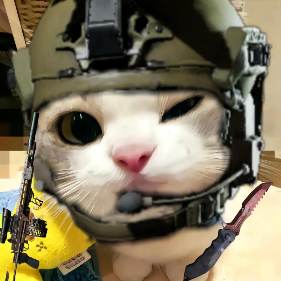 大熊硬糖zz（暗区突围pc）