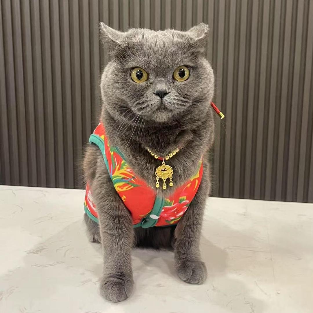掌柜儿家的包子