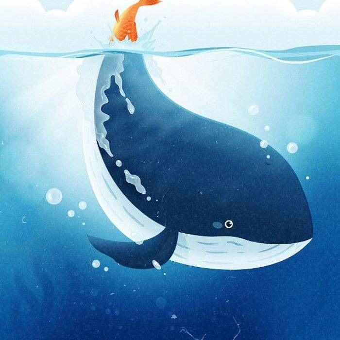 🐳