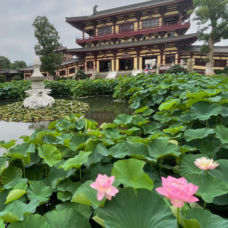 阮明～小七