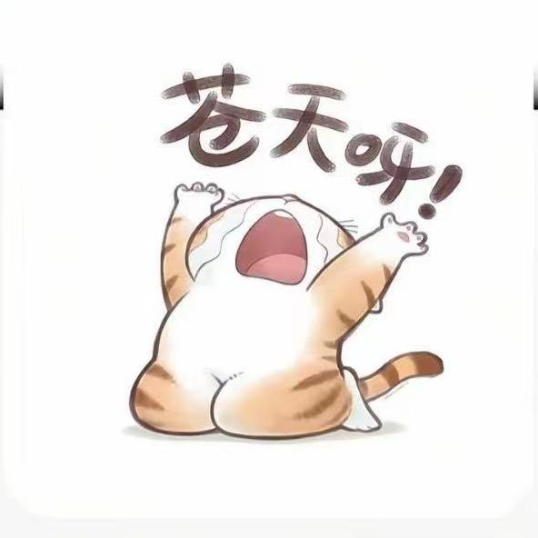 小苗苗🦖