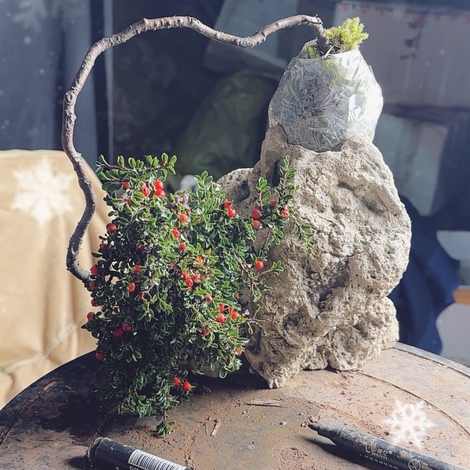 五花十色园艺店