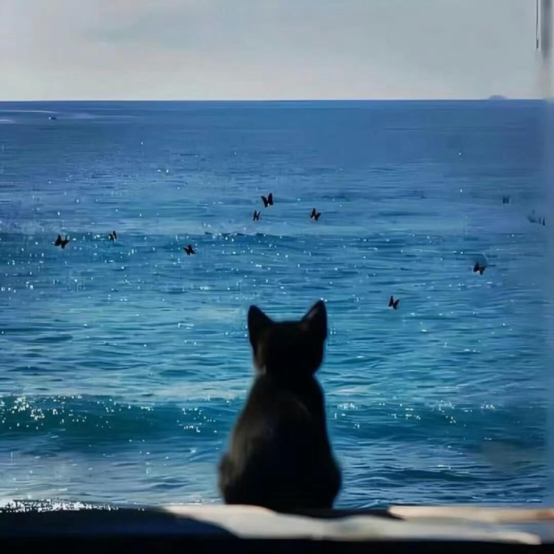卍﹏海绵宝宝