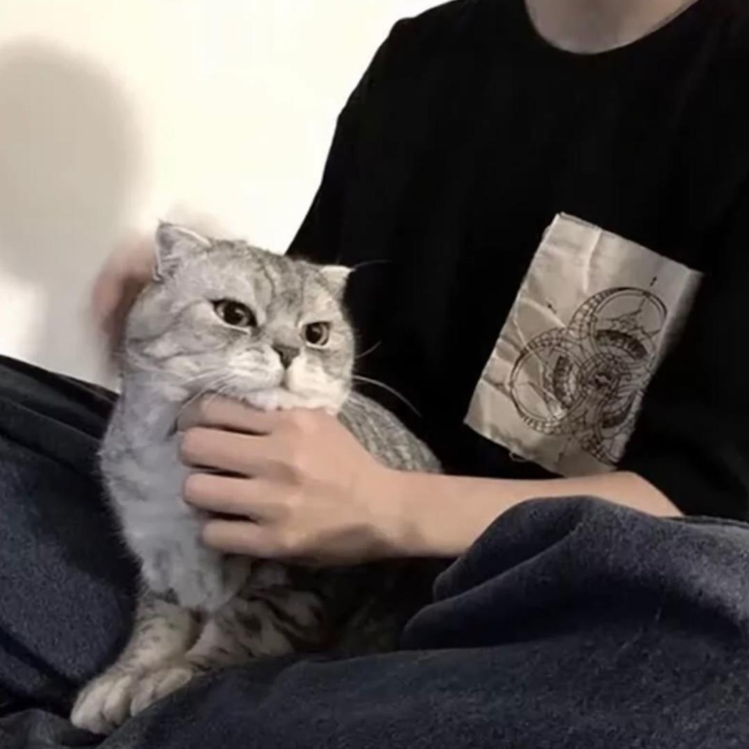 我还没睡醒