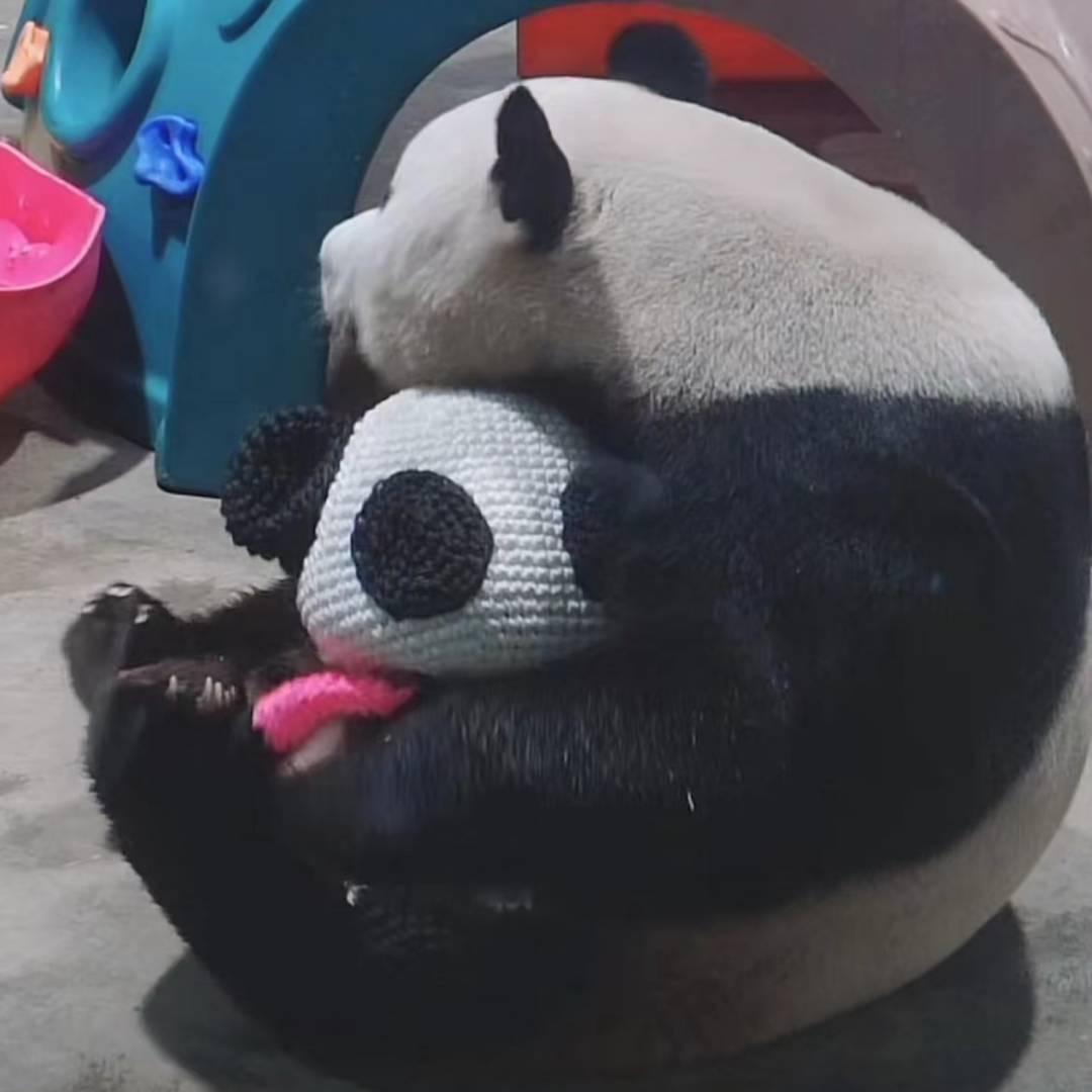七厘头像