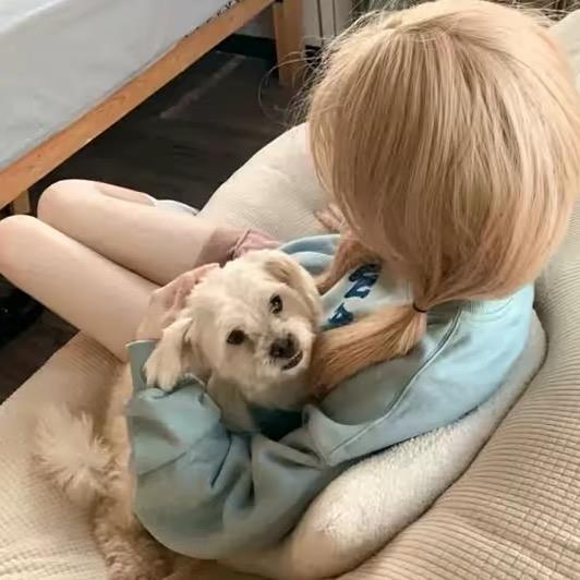 ……