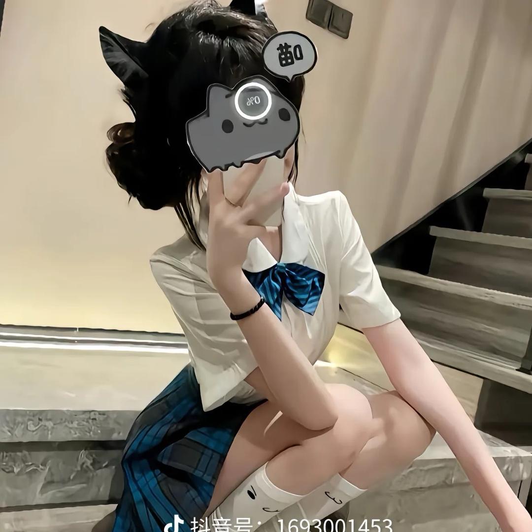 高冷小猫