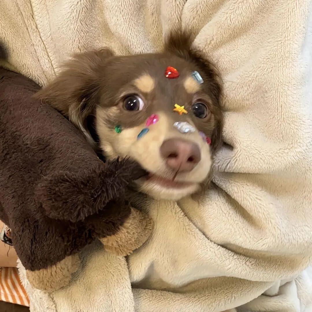 𝐘𝐮