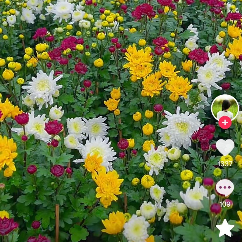 2246311828一生平安