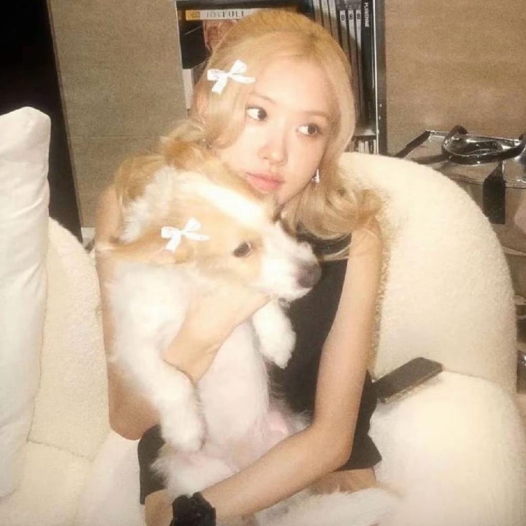 薯条霉霉🧚🏿‍♀️