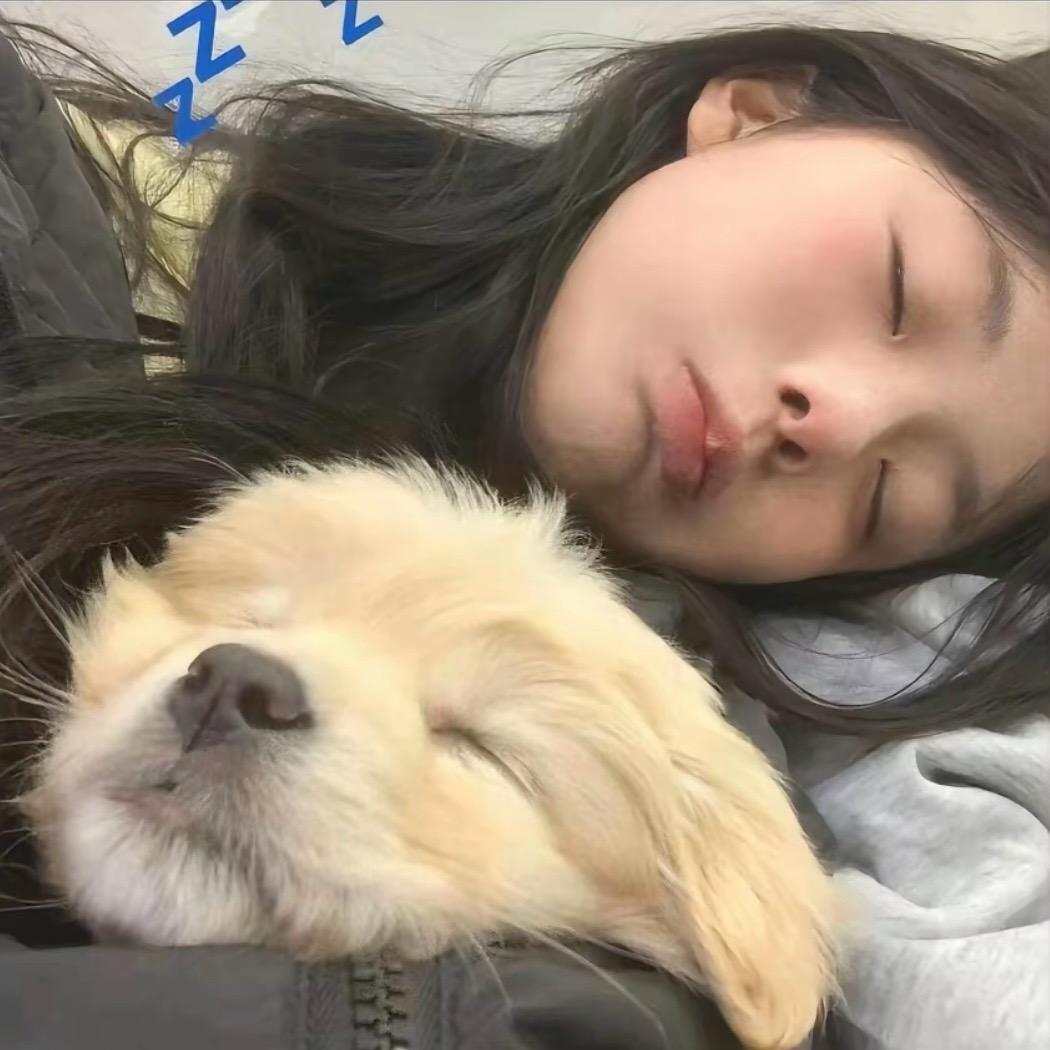 超困困困狗.🦦.