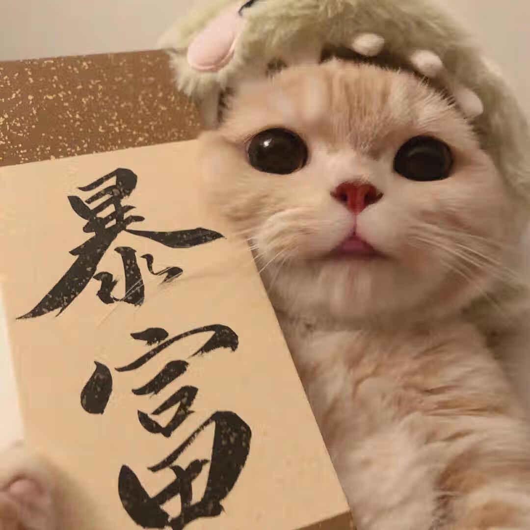 刷豆茵