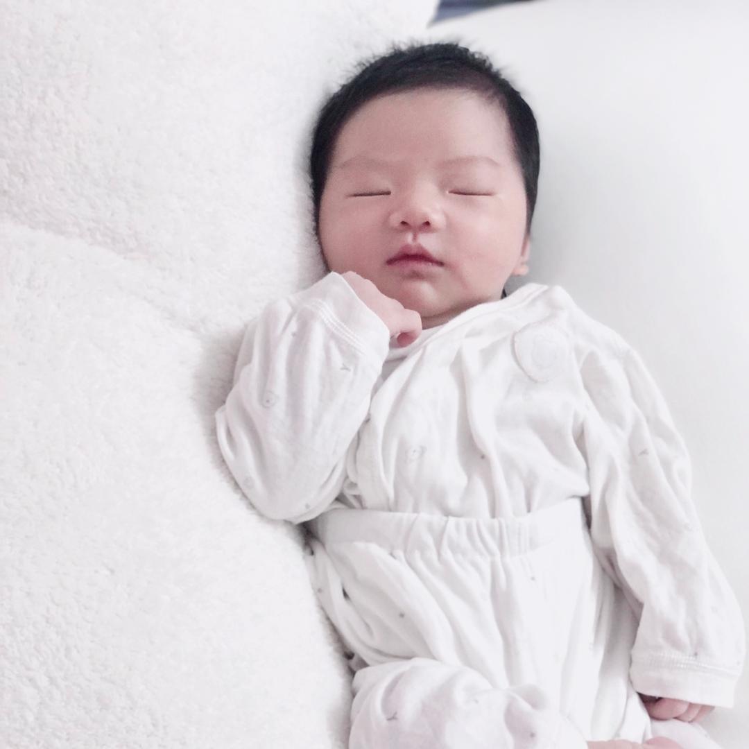 依敏蜜植素（十年了）