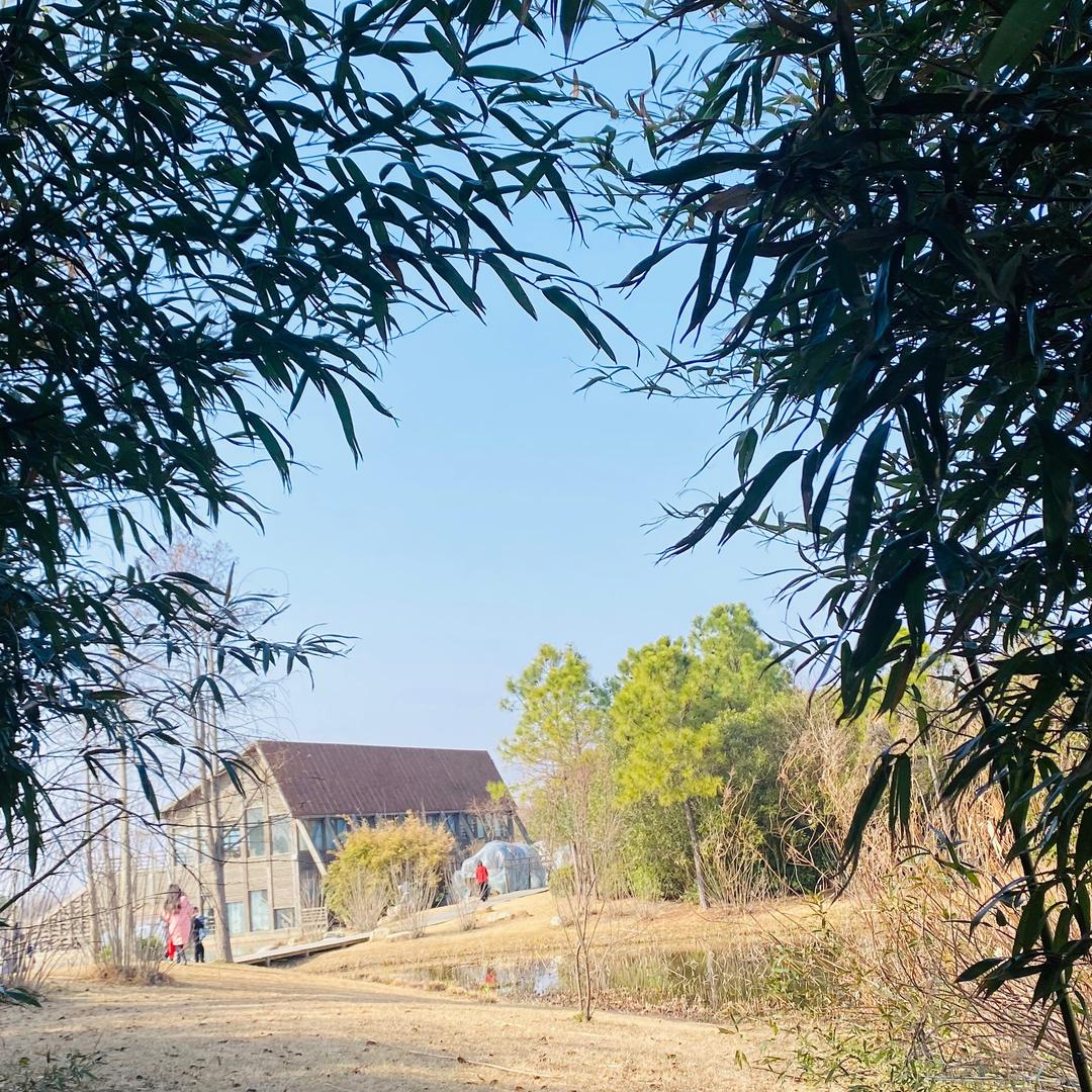 西子湖畔的琳迪斯头像