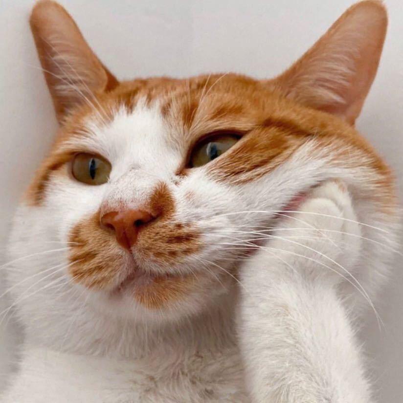 发呆业余爱好者