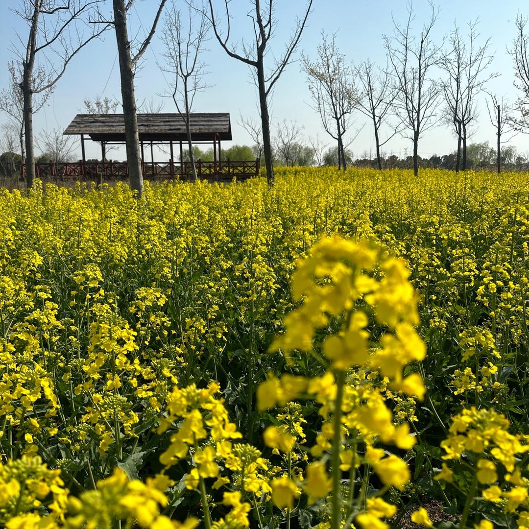 🚬午夜老舅🍺