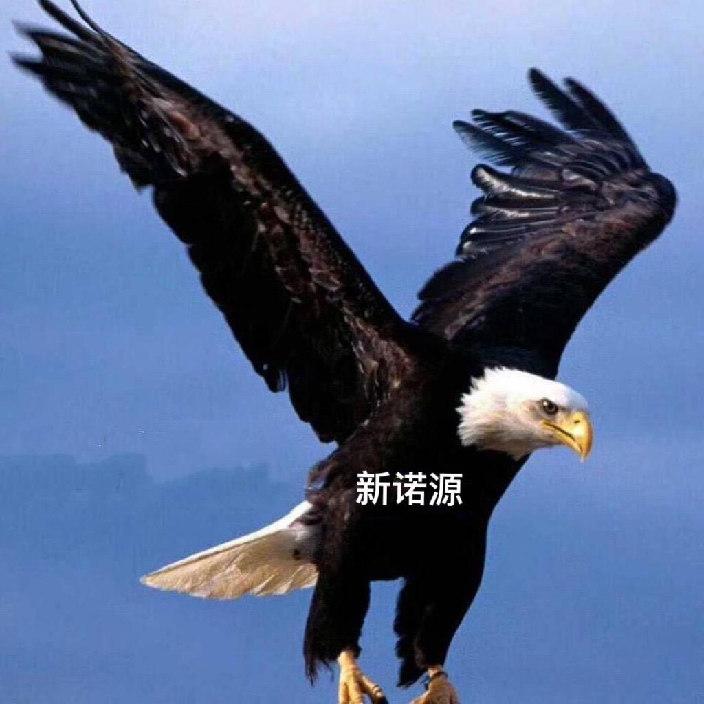山西货车  新诺源