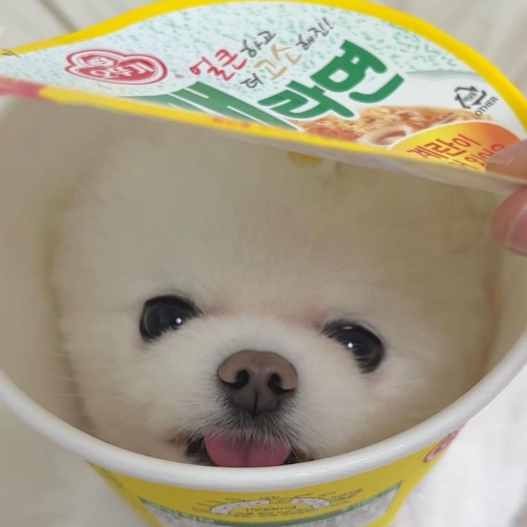 薇薇睡醒就迟到