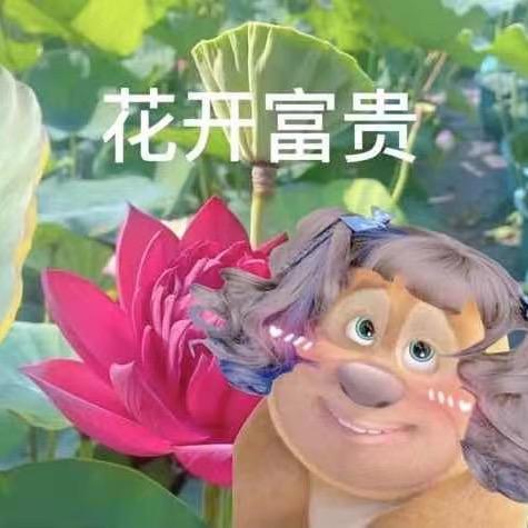 邀月坊的龙武卫头像