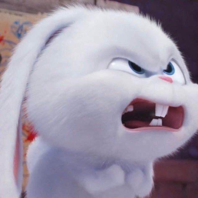 wwww -