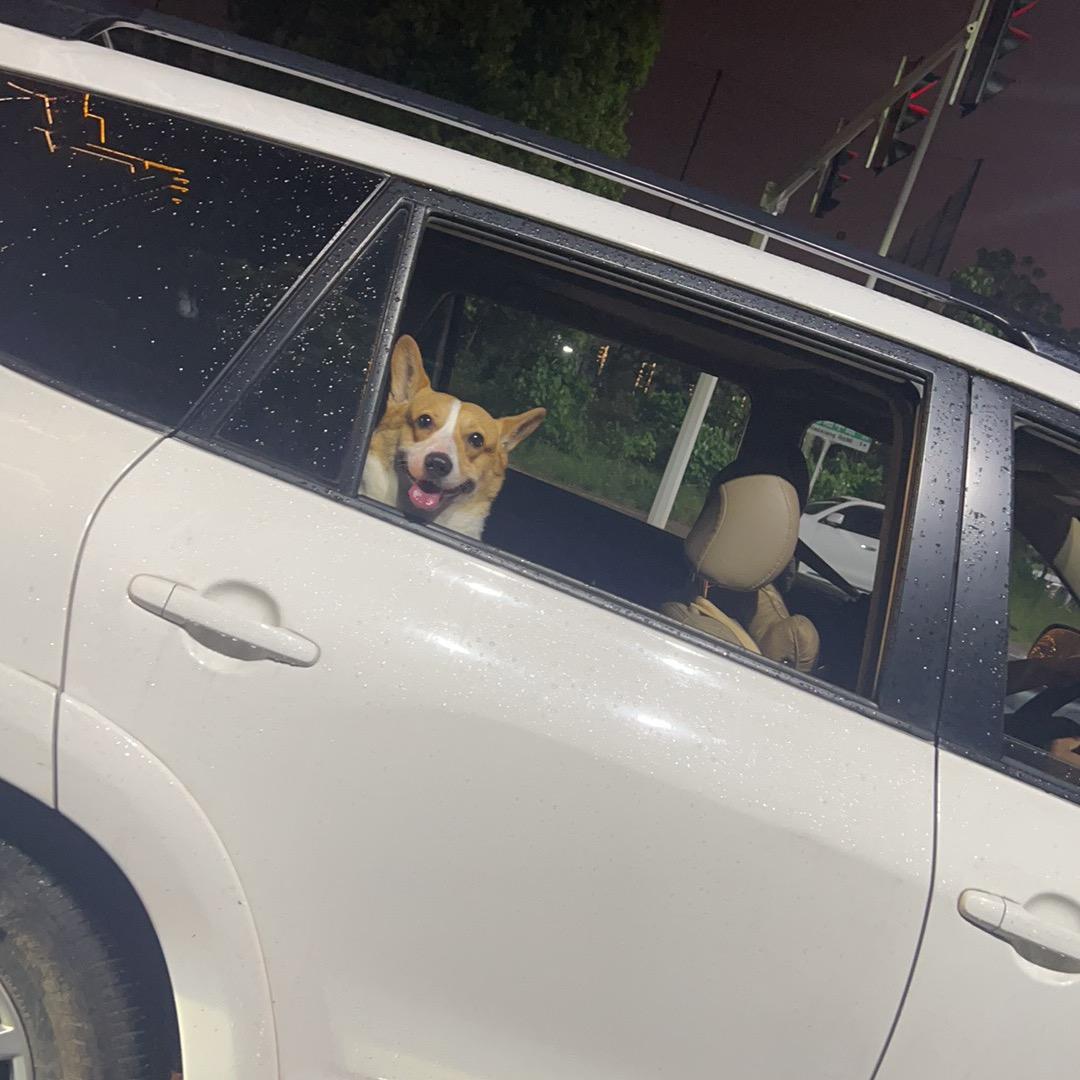搞薯条