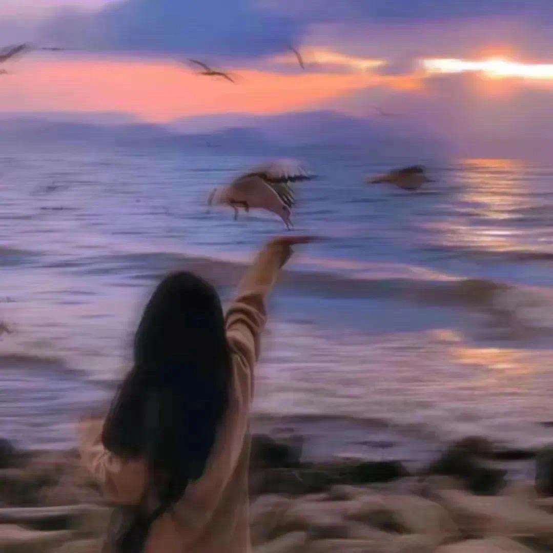 心仪的生活碎片🧐