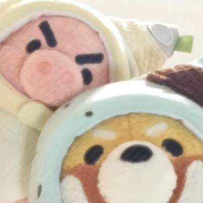 波力海苔
