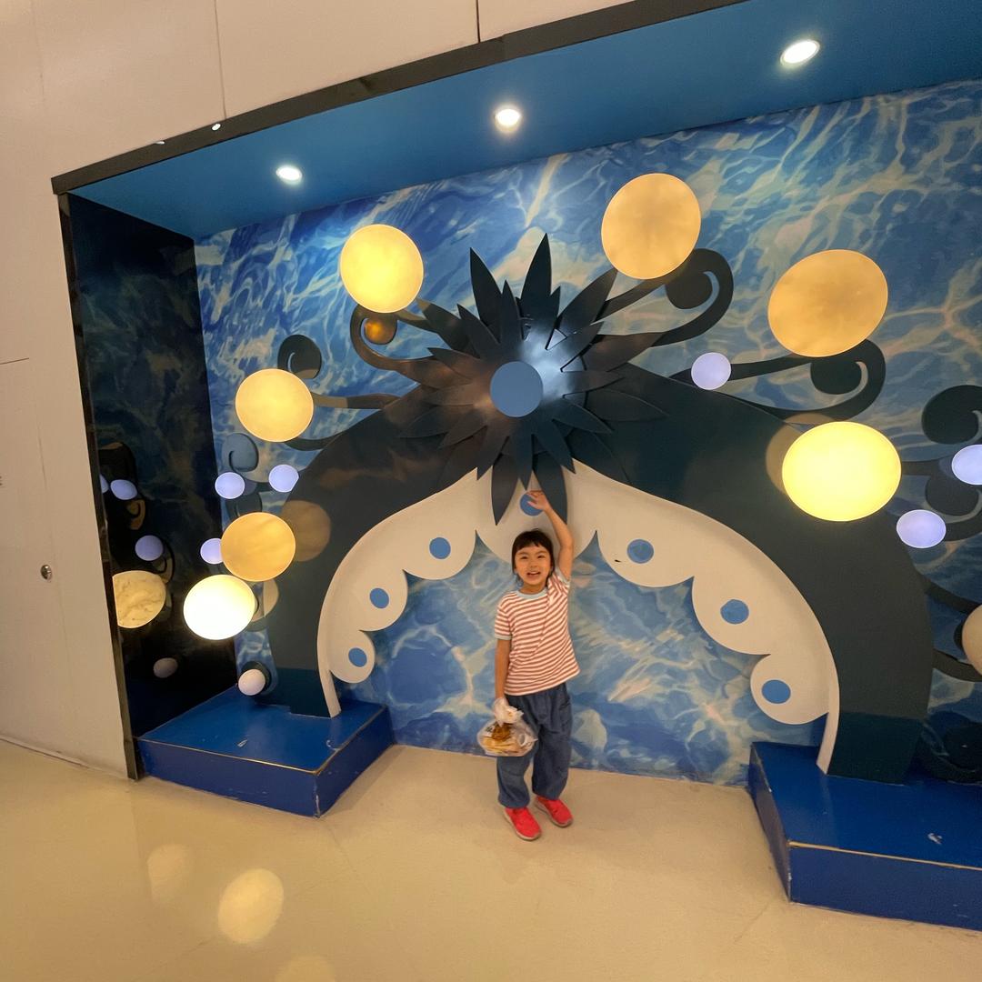 沈晓阳寻亲成功（朱金龙）