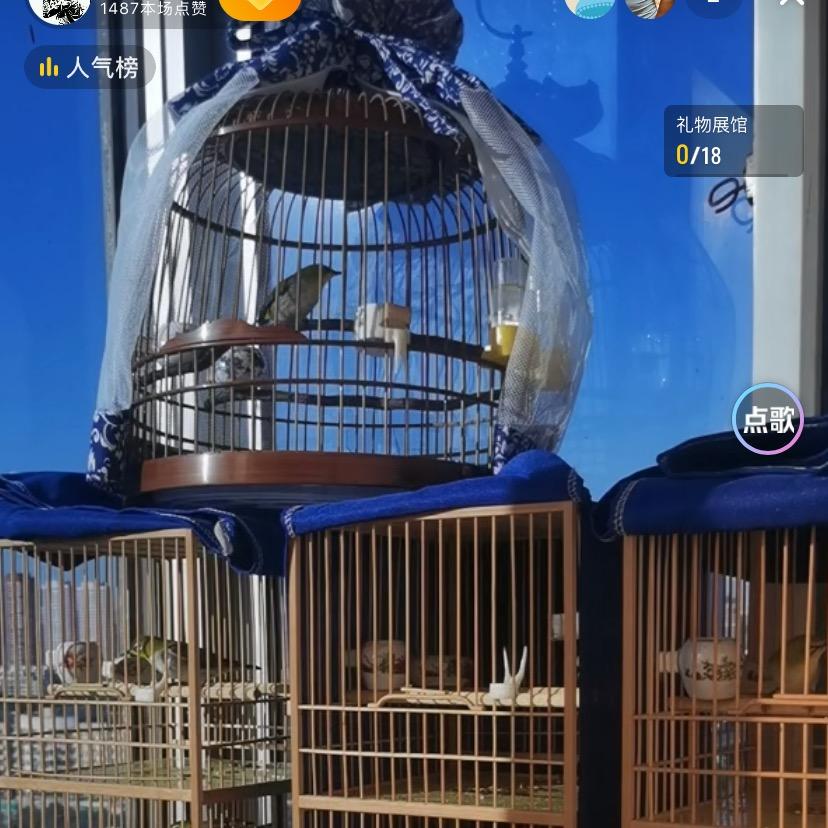 绣色可餐