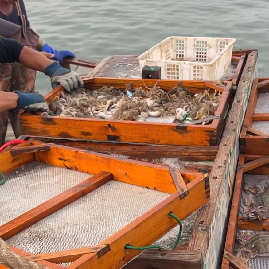 渤海湾码头鲜活海鲜批发零售