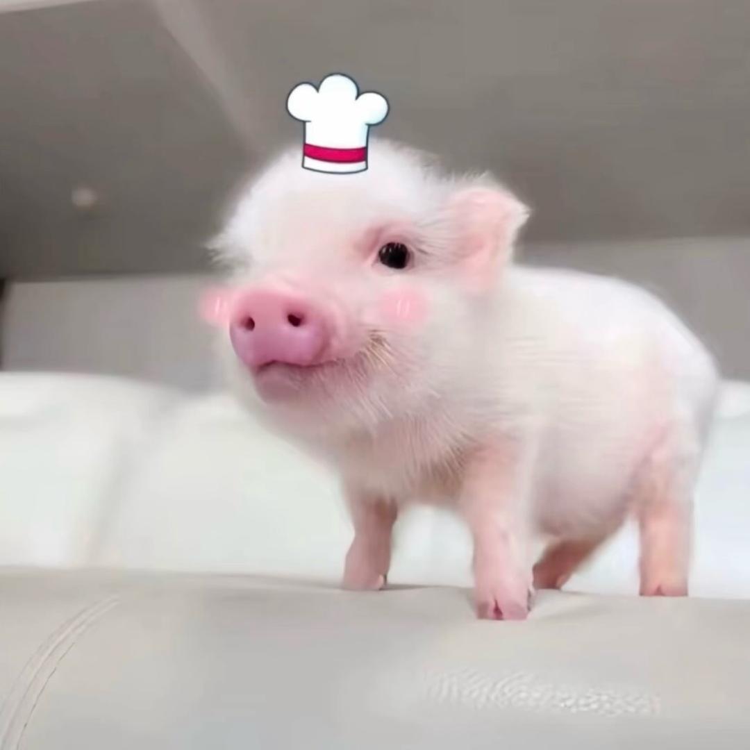 心似烟火🎆