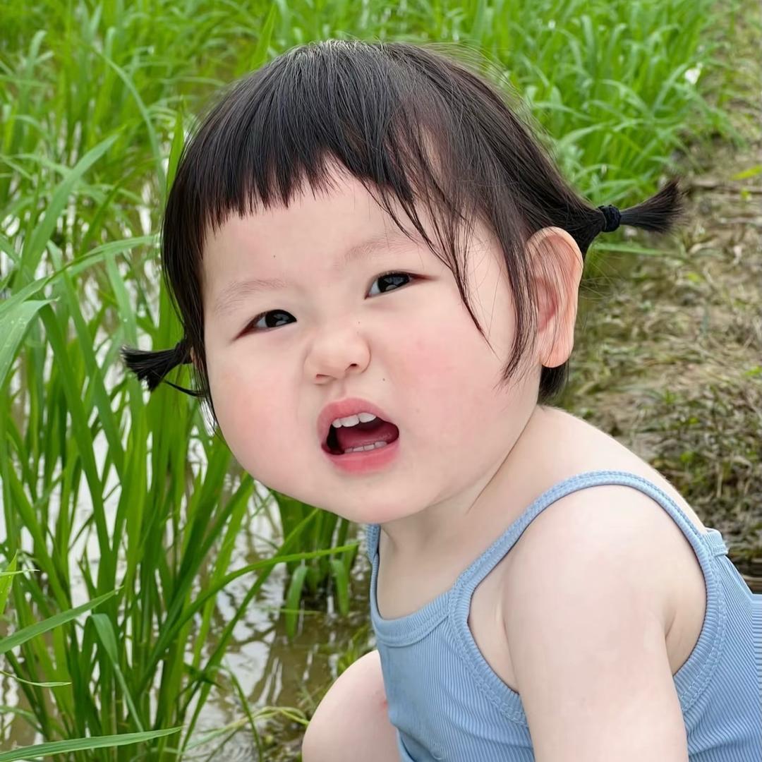 问楚