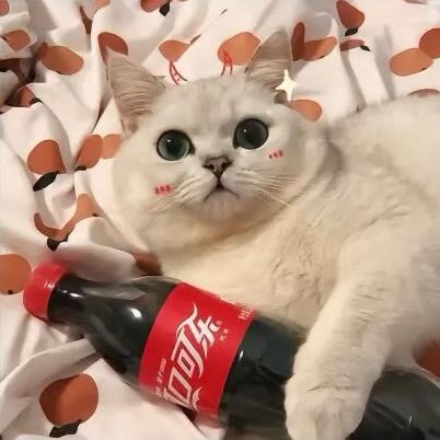 🌈吃土豆不吐豆