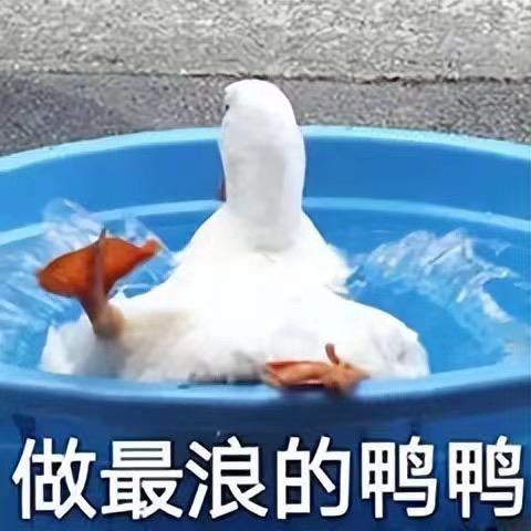 快乐一天鸭～～