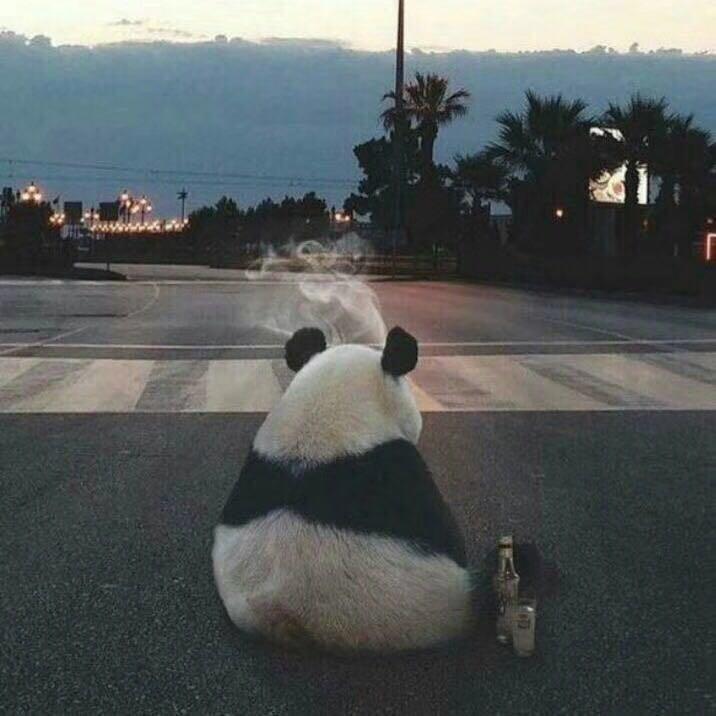 此时的我