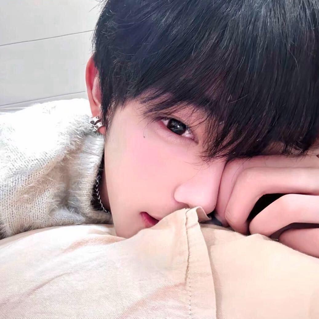小鲨鱼
